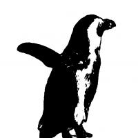 Pinguin Scherenschnitt