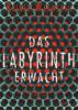 Das Labyrinth erwacht - Rainer Wekwerth