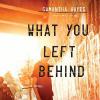 What You Left Behind - Samantha Hayes