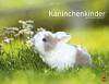 Kaninchenkinder Posterkalender 2015 - Monika Wegler