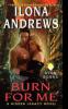 Burn for Me - Ilona Andrews