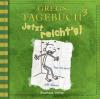 Gregs Tagebuch - Jetzt reicht's!, Audio-CD - Jeff Kinney