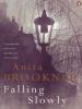 Falling Slowly - Anita Brookner