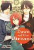 Dawn of the Arcana, Volume 13 - Rei Toma