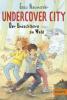 Undercover City - Gabi Neumayer