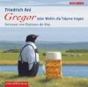 Gregor oder Wohin die Träume tragen, 1 Audio-CD - Friedrich Ani