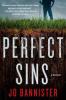 Perfect Sins - Jo Bannister