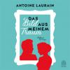 Das Bild aus meinem Traum, 3 Audio-CDs - Antoine Laurain