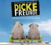 Dicke Freunde, 4 Audio-CD - Stephan Bartels