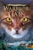 Warrior Cats Staffel 6/06 - Vision von Schatten. Wütender Sturm - Erin Hunter
