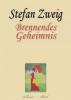 Stefan Zweig: Brennendes Geheimnis - Stefan Zweig