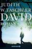 David - Judith W. Taschler