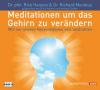 Meditationen, um das Gehirn zu verändern - Rick Hanson, Richard Mendius