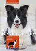 Border Collie - Rolf C. Franck