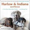 Harlow & Indiana (and Reese) - Brittni Vega