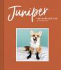 Juniper: The Happiest Fox - Jessika Coker