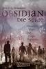 Obsidian: Alle fünf Bände der Bestseller-Serie in einer E-Box! - Jennifer L. Armentrout