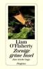 Zornige grüne Insel - Liam O'Flaherty
