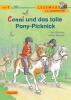 Conni und das tolle Pony-Picknick - Julia Boehme, Herdis Albrecht