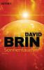 Sonnentaucher - David Brin