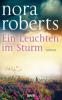 Ein Leuchten im Sturm - Nora Roberts