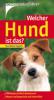 Welcher Hund ist das? - Eva-Maria Vogeler