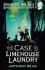 Baker Street Boys: The Case of the Limehouse Laundry - Anthony Read