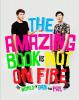 The Amazing Book Is Not on Fire: The World of Dan and Phil - Dan Howell