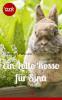 Ein Lollo Rosso für Sina (Kurzgeschichte, Liebe) - Jennifer Wellen