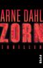 Zorn - Arne Dahl