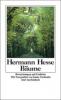 Bäume - Hermann Hesse