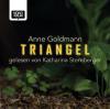 Triangel, 2 Audio-CDs - Anne Goldmann