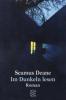 Im Dunkeln lesen - Seamus Deane