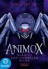 Animox. Der Biss der Schwarzen Witwe - Aimee Carter