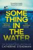 Something in the Water - Catherine Steadman