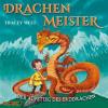 Drachenmeister - Der Aufstieg des Erddrachen, 1 Audio-CD - Tracey West