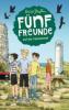 Fünf Freunde 06. Fünf Freunde auf der Felseninsel - Enid Blyton