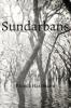Sundarbans - Patrick Hassmann
