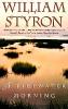 A Tidewater Morning - William Styron