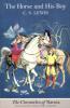 Horse and His Boy (Colour Version) (The Chronicles of Narnia, Book 3) - C. S. Lewis
