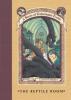 A Series of Unfortunate Events #2: The Reptile Room - Lemony Snicket