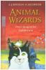 Animal Wizards. Drei magische Gefährten - A. J. Epstein, A. Jacobson