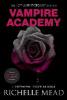 Vampire Academy 10th Anniversary Edition - Richelle Mead