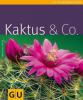 Kaktus & Co. - Matthias Uhlig