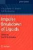 Impulse Breakdown of Liquids - Vasily Y. Ushakov