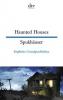 Haunted Houses - Spukhäuser - Anne Rademacher