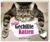 Total Gechillte Katzen - Paulus Vennebusch