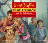 Fünf Freunde (51): Fünf Freunde und das Teufelsmoor - Enid Blyton