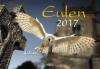 Eulen 2017 - 