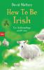 How To Be Irish - David Slattery